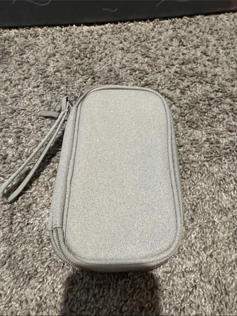 Light Gray Protective Carrying Case for Cell Accessories